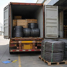 Import License Issue Solved Before Cargo Arrival